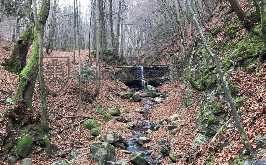Identifikačná fotografia